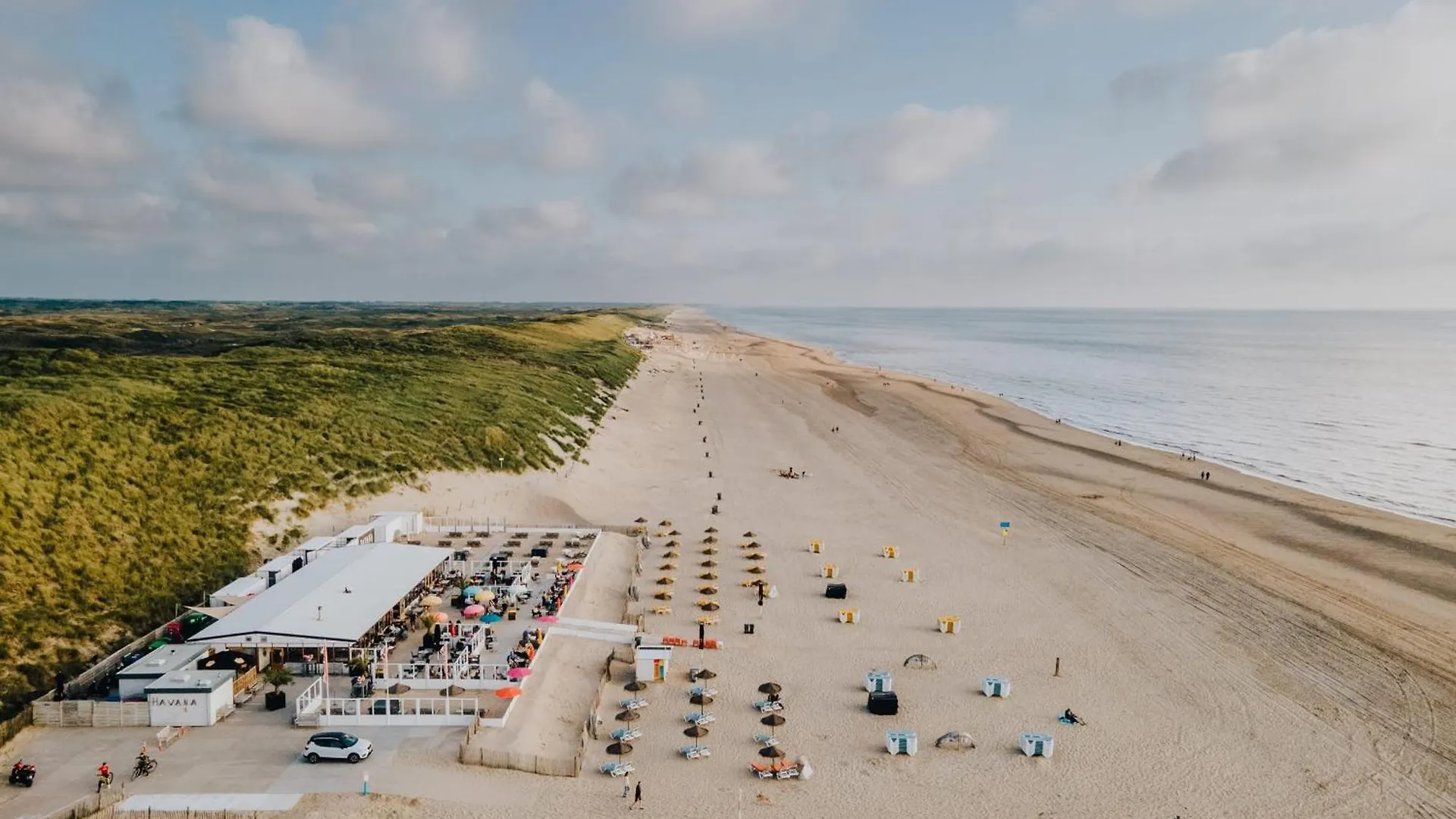 Zandkorrel Zandvoort